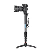 Leofoto MP-364C 4 Section Carbon Fiber Monopod